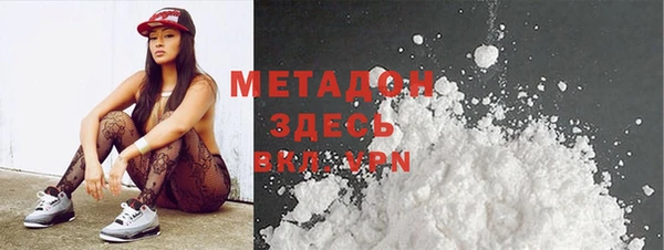 индика Арсеньев