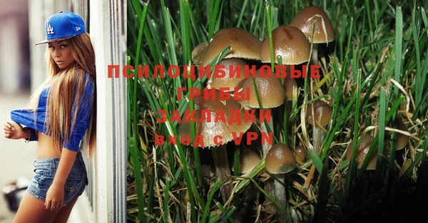 индика Арсеньев