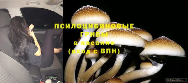 гашик Аркадак