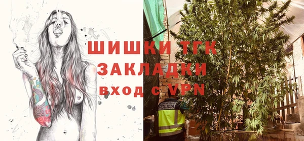 индика Арсеньев