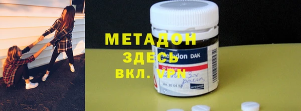 индика Арсеньев