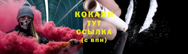 индика Арсеньев