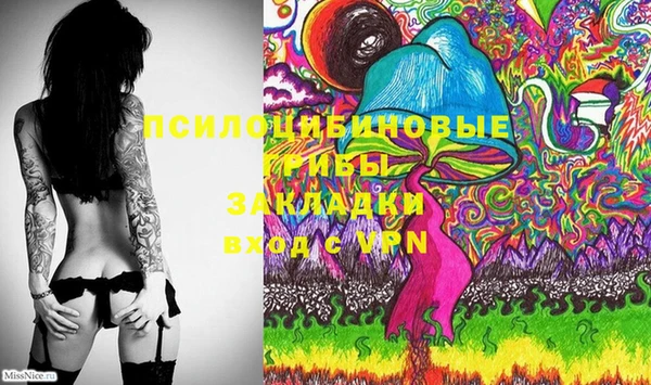 гашик Аркадак