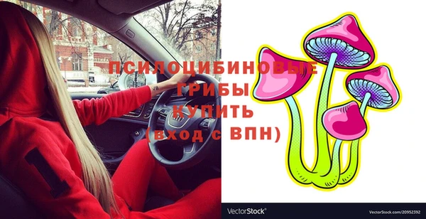 гашик Аркадак