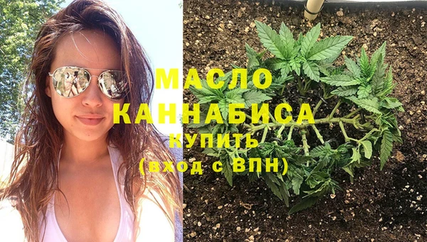 индика Арсеньев