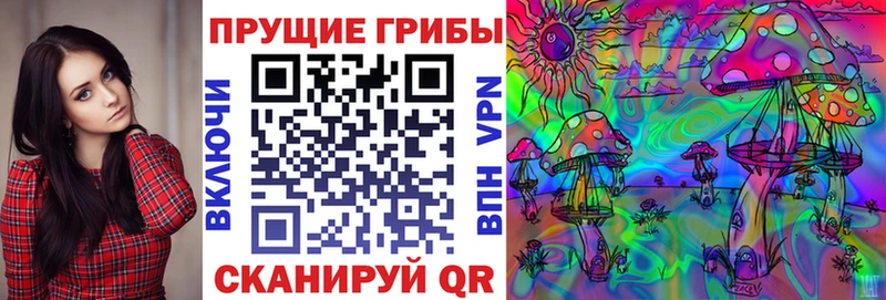 Галлюциногенные грибы ЛСД  Карачаевск 