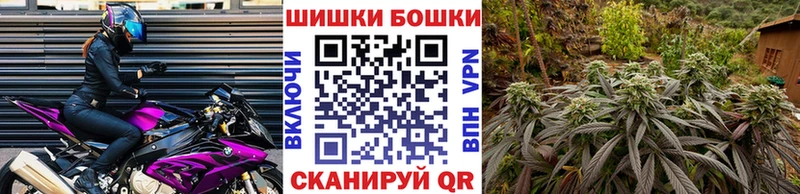 Канабис конопля  цена наркотик  Карачаевск 